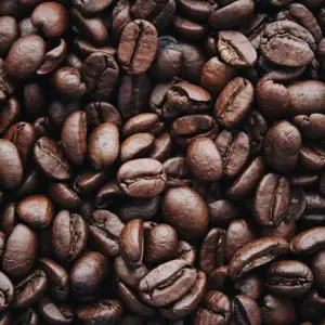 Colombian Geisha x Finca La Zarza